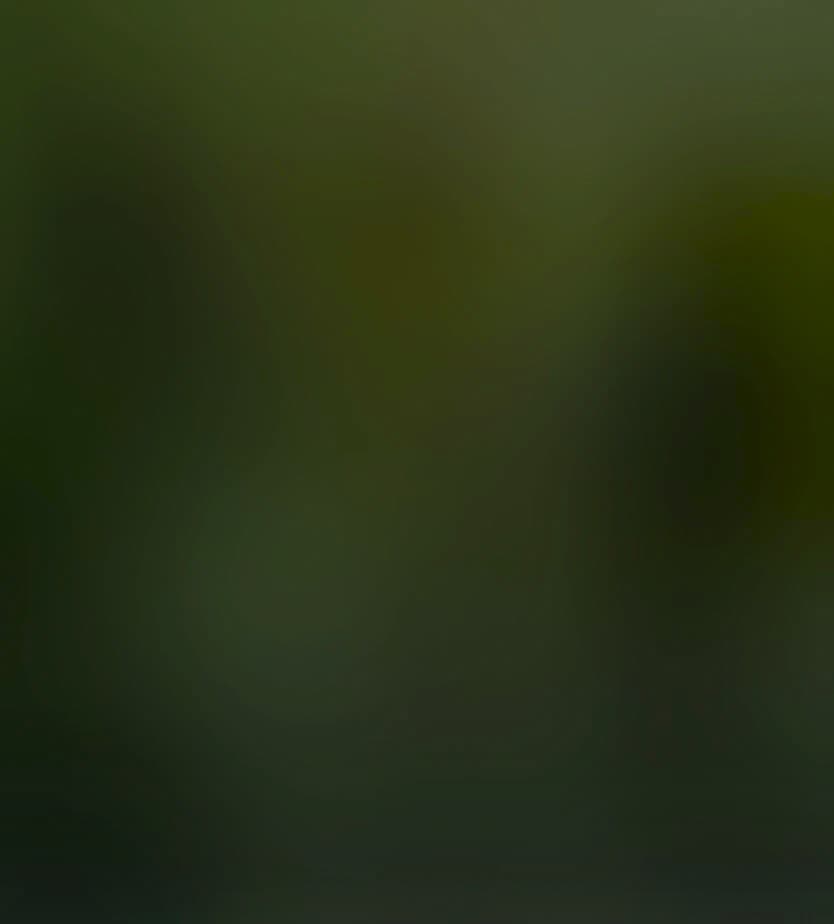 Green Gradient Background